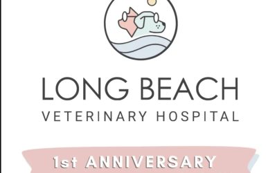 Photo Booth Long Beach Veterinary Hospital Open House and One Year Anniversary