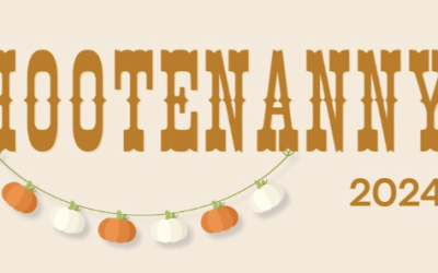 Wasaga Beach Hootenanny 2024