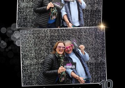 Barrie Women's Show at Bradford Greenhouses 2025