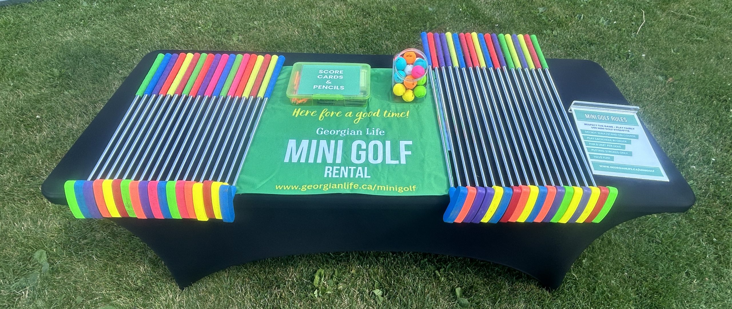 IMG_1788 PORTABLE MINI GOLF COURSE RENTAL