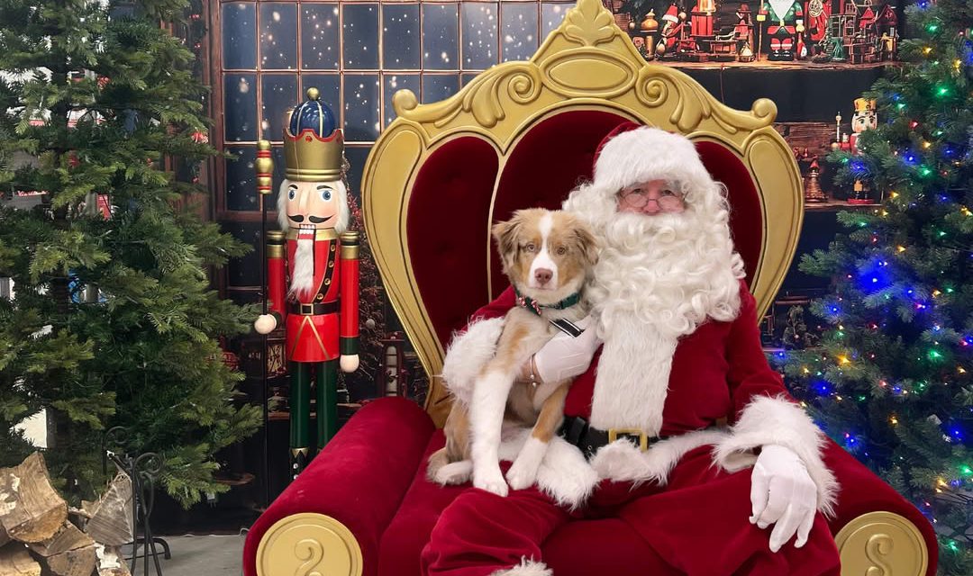 Pictures with Santa at Collingwood Home Hardware
