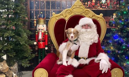 Pictures with Santa at Collingwood Home Hardware